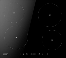 Induktionsfeld Reparatur Altenburg